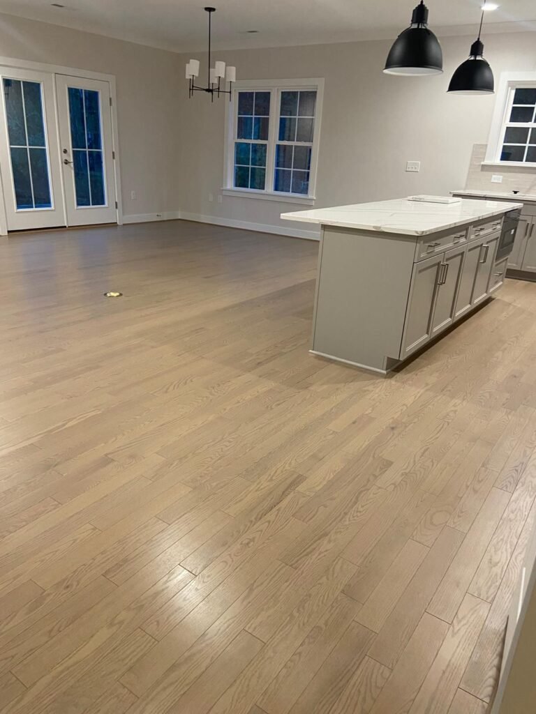 Home kitchen countertop sanitizing roanoke